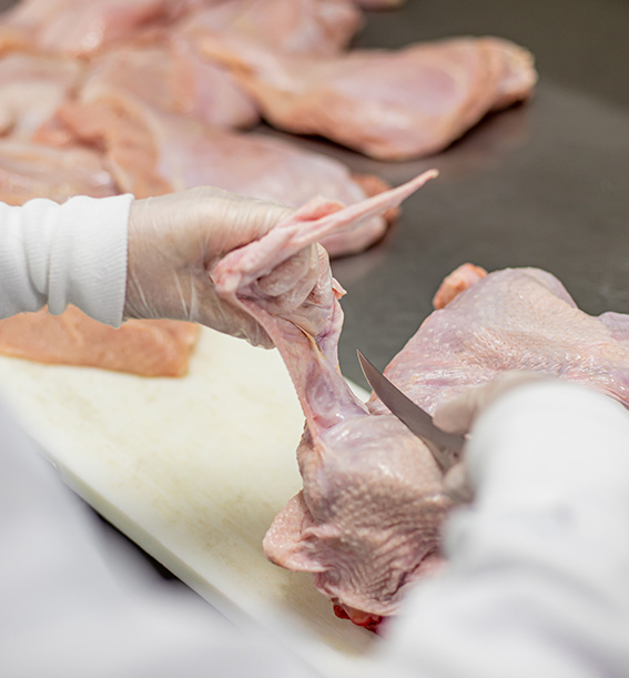 Découpe et transformation